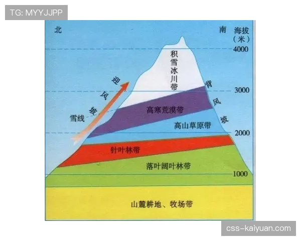 居莱尔的顶级球星潜力：成长路径与关键制约因素分析